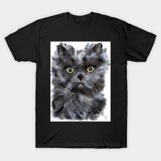 Black Furry Persian Cat T-Shirt